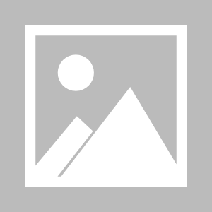 国产精品毛片一区二区三区,探索影视艺术的多元魅力